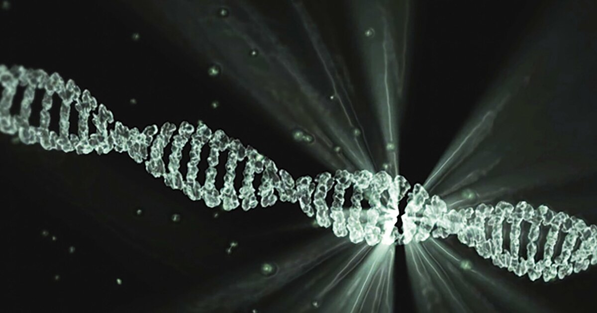 Полученные сведения могут быть полезными при эп...