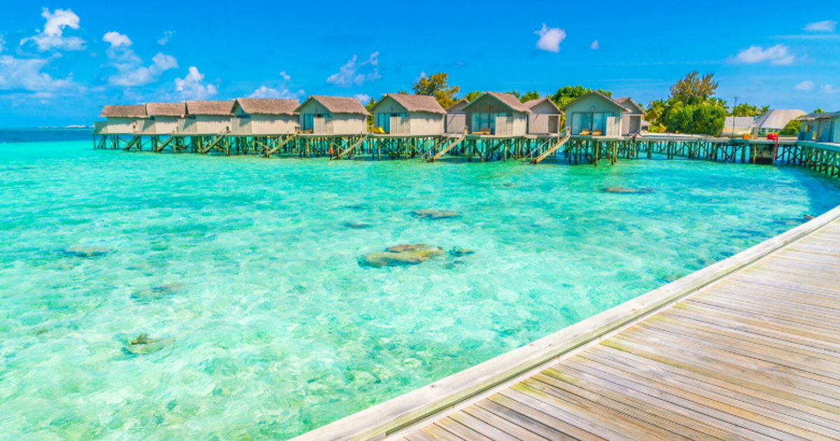 Россиянка после отдыха на Мальдивах заразилась лихорадкой Денге Жительница Иркутска Кристина вернулась из отпус...