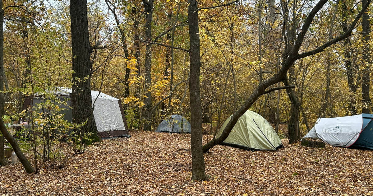 В Самаре введут особый противопожарный режим с 15 апреля 2026 года В Самаре с 15 апреля по 31 октября 2026 года вв...