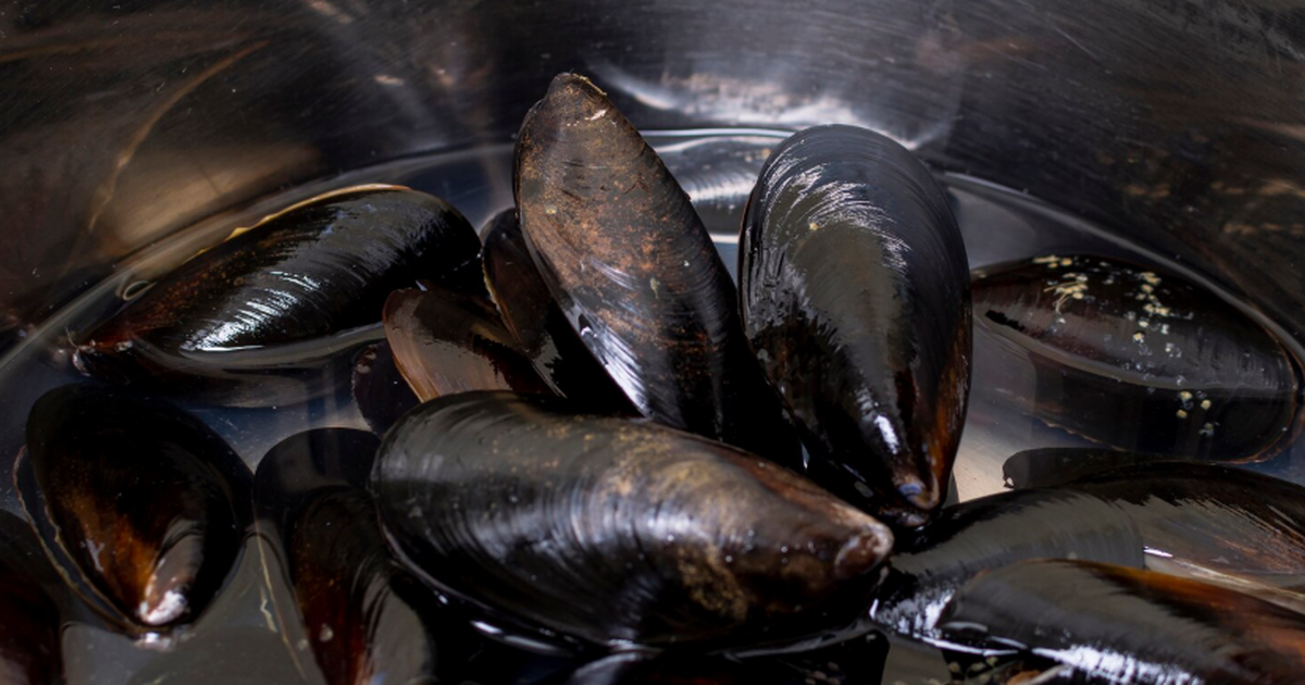 Ученые впервые описали экологические различия м...