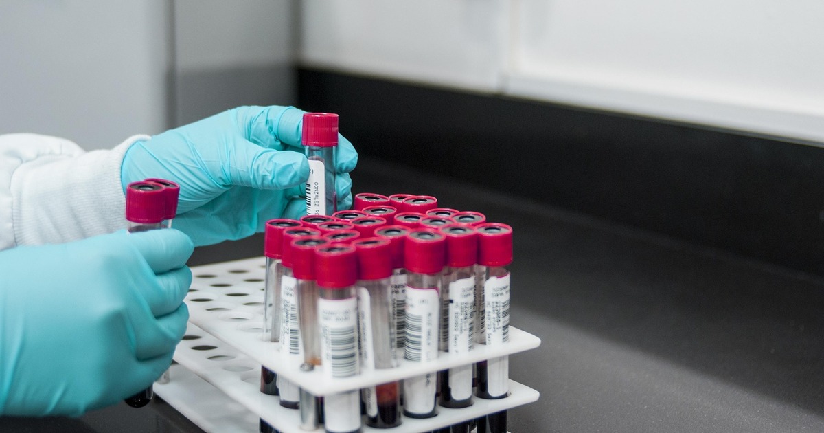 Это явление называют мультиморбидностью