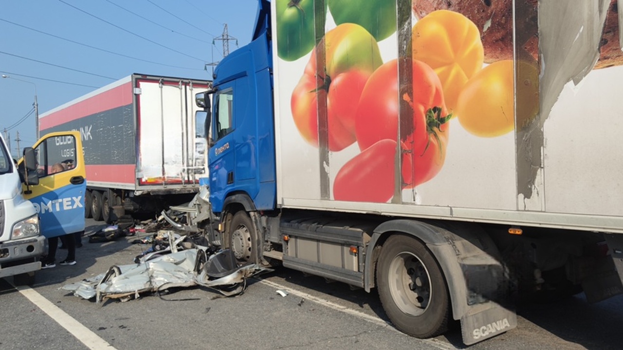 В Самарской области в страшном ДТП погибли 4 человека, включая двух детей Следователи СК возбудили уголовное дело по ст. ...
