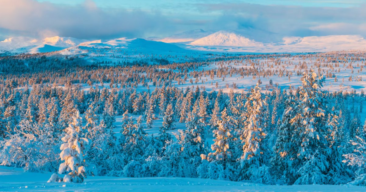 Иностранцы массово едут в Якутию и поражаются сильным морозам и местной кухне Якутия привлекает туристов со всего мира: экстр...