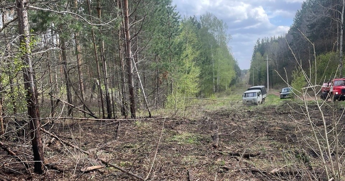 К счастью, крупный пожар удалось предотвратить