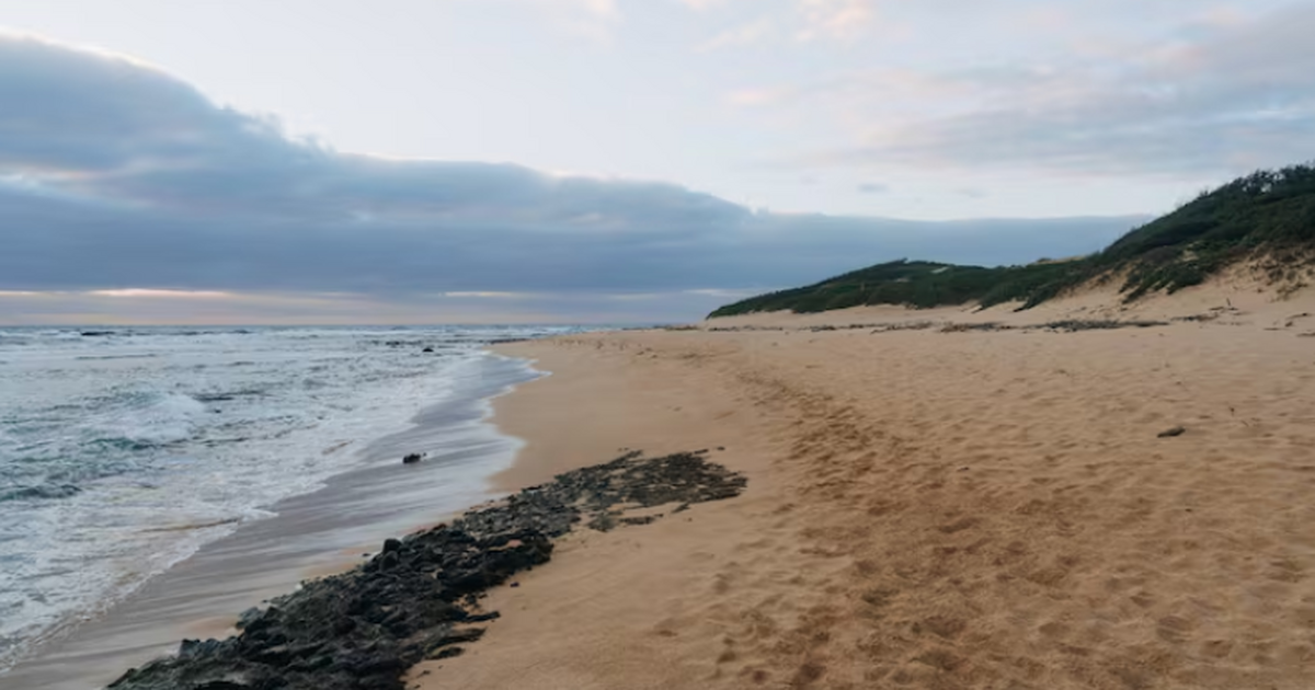 Максим Решетников сообщил, что правкомиссия раб...