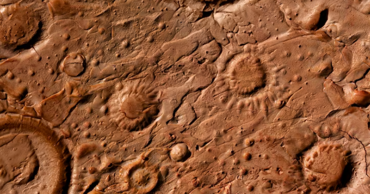 На Марсе зафиксированы свистовые радиоволны, об...