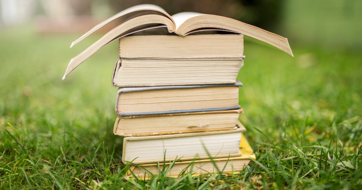 Анализ лексического разнообразия в книгах «Плос...