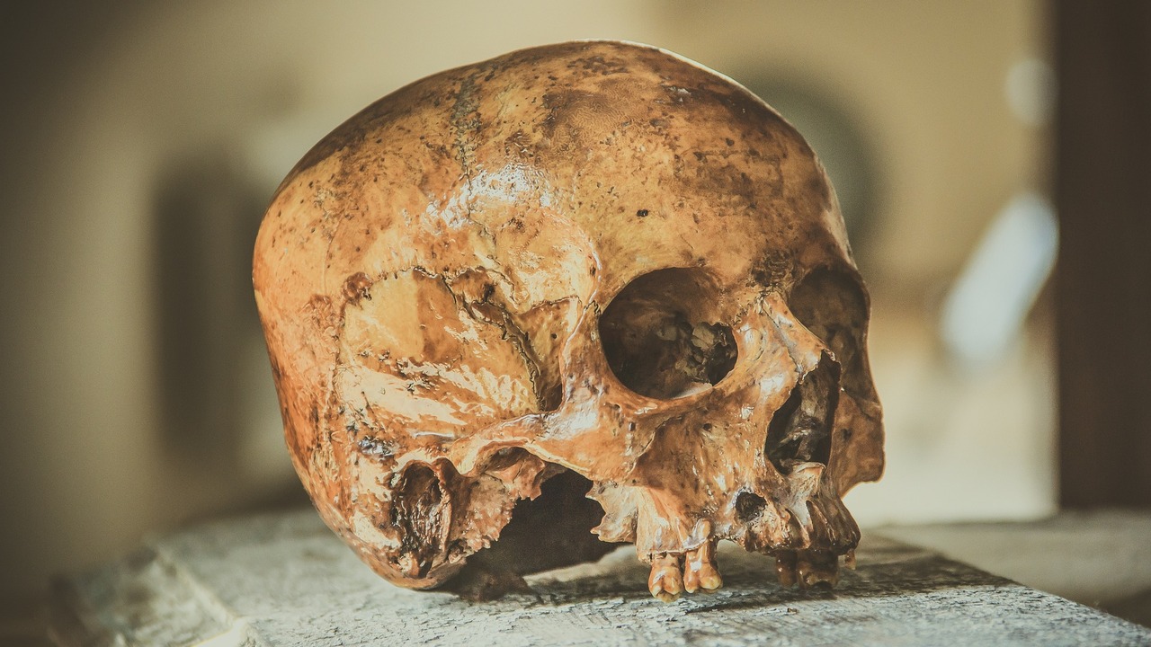 Культура Лянчжу возникла около 5300–4500 лет назад