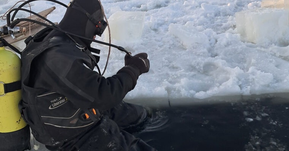 Тела были обнаружены после поступления более то...