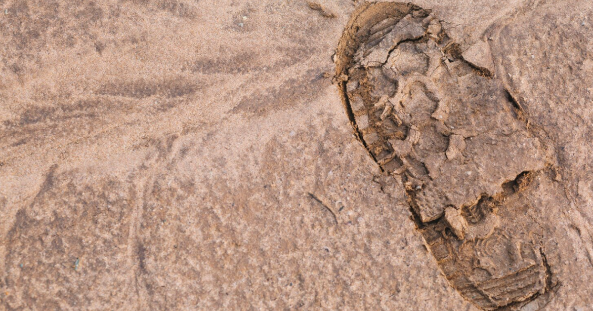 Сибирские ученые нашли личинки насекомых и элем...