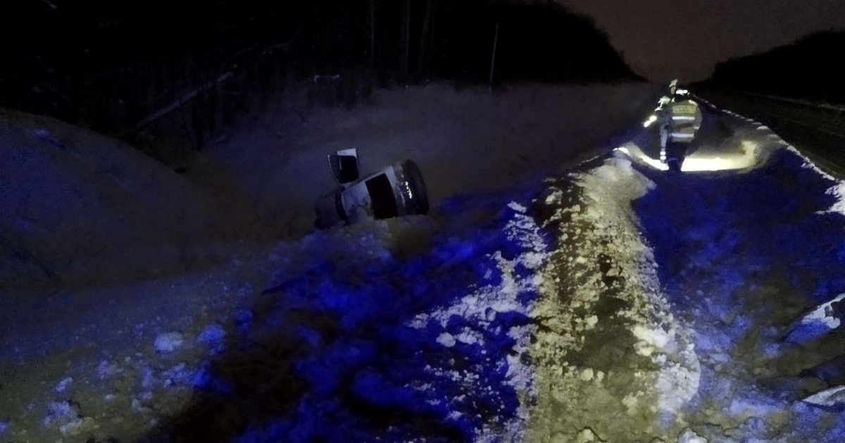 В Исаклинском районе Skoda столкнулась с лосем, водитель госпитализирован На месте автоаварии работали пожарные-спасатели
