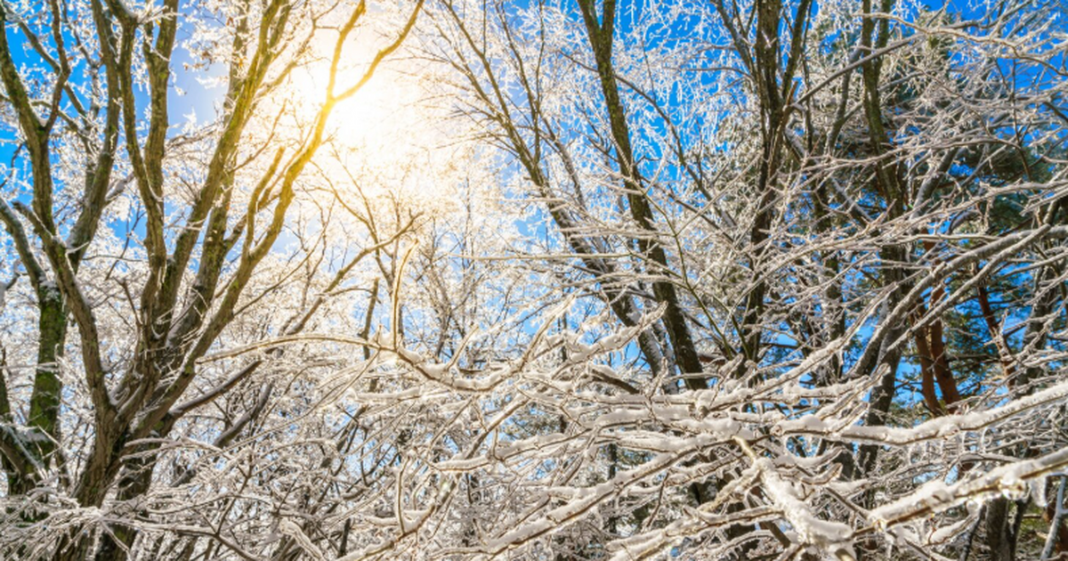 Климатическая служба «Коперник» зафиксировала, ...