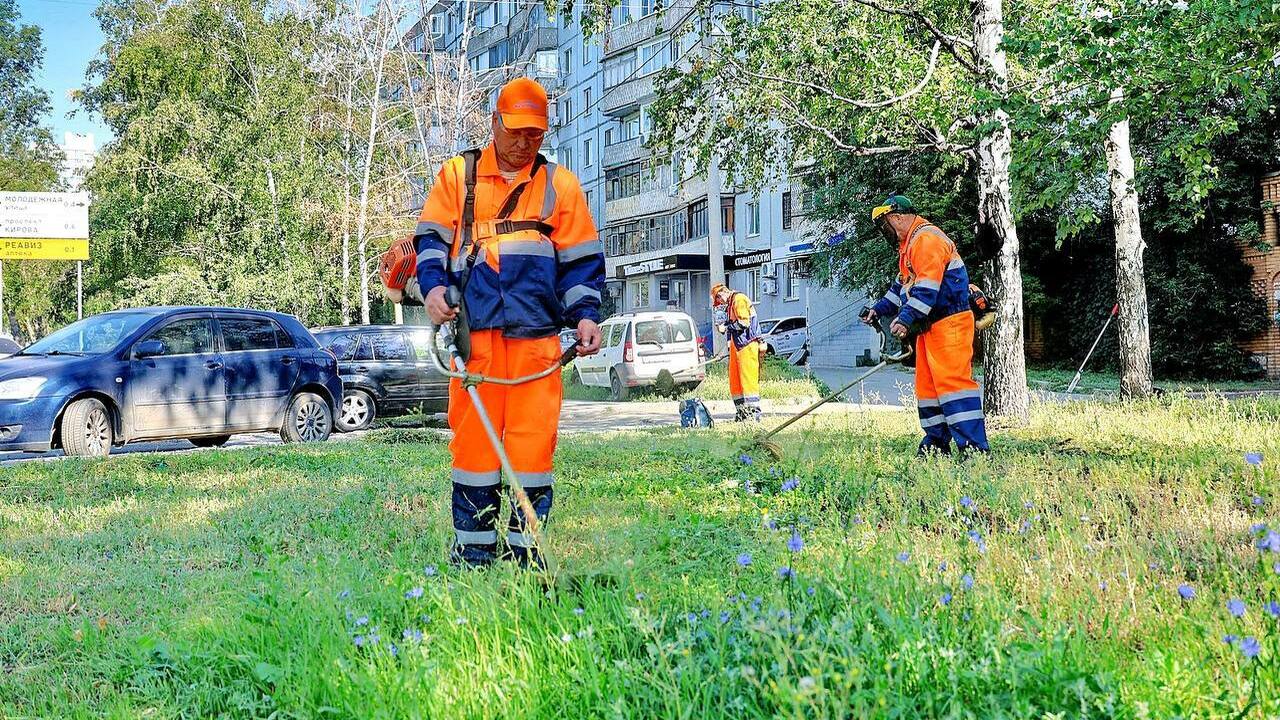 В августе в Самаре за газонами будут ухаживать более 140 человек Они будут наводить порядок на территории более ...
