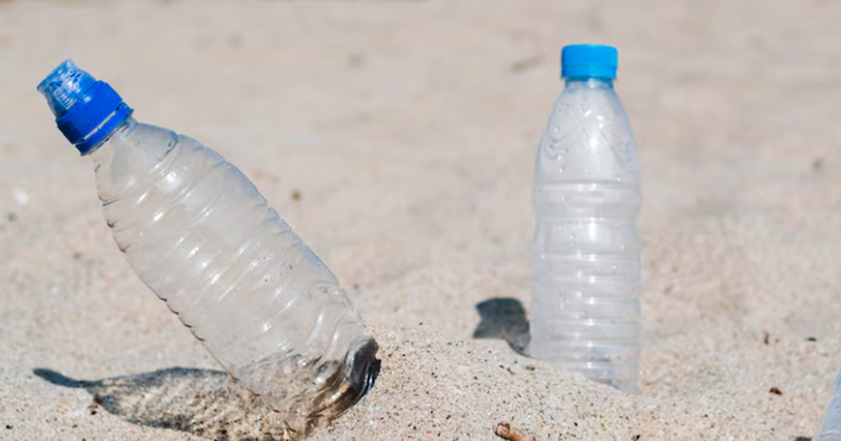 В мясе американских омаров впервые нашли микропластик Канадские исследователи из Университета Далхауз...