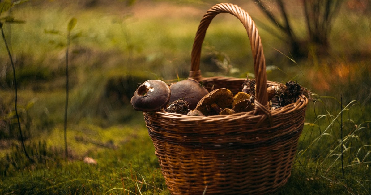 В ряде случаев за это могут последовать штрафы ...