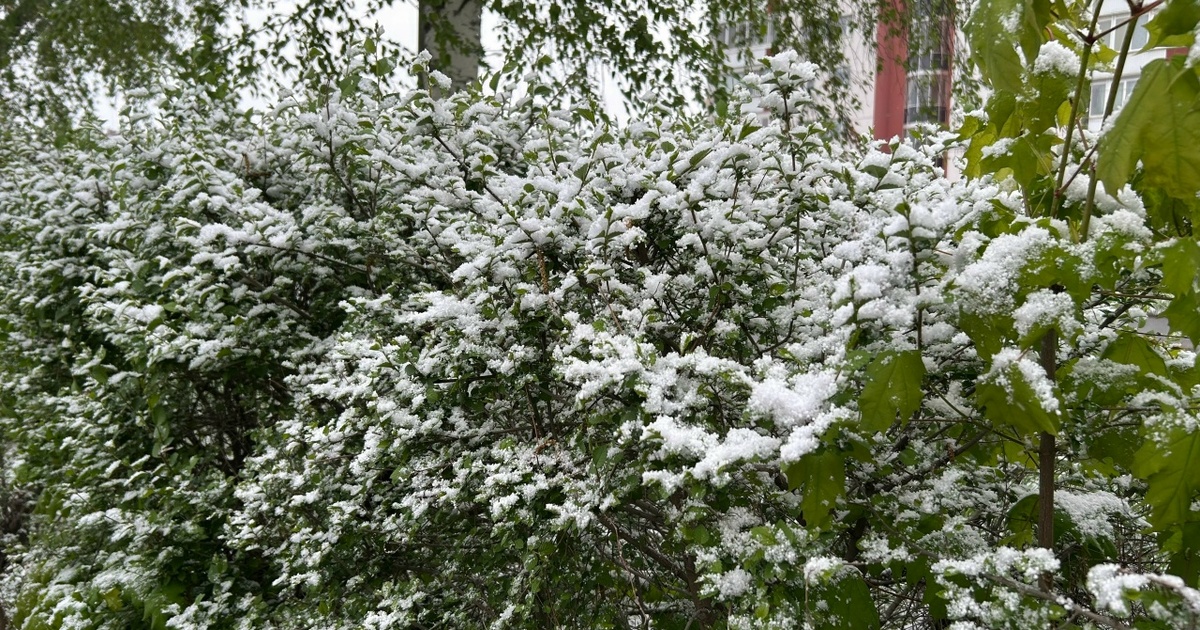 Такой прогноз дает Приволжское управление Госме...