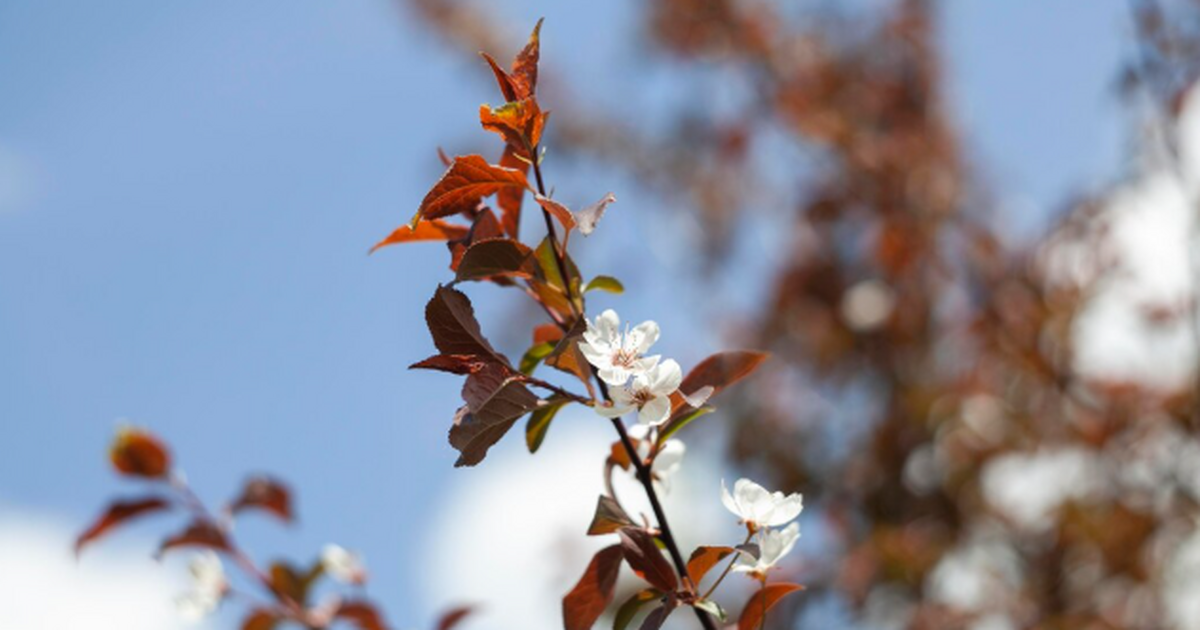 Календарная весна всех обманула: внезапные сроки резкого потепления и схода снега - раскрыта правда Весна сдвинулась: снег может растаять раньше ср...