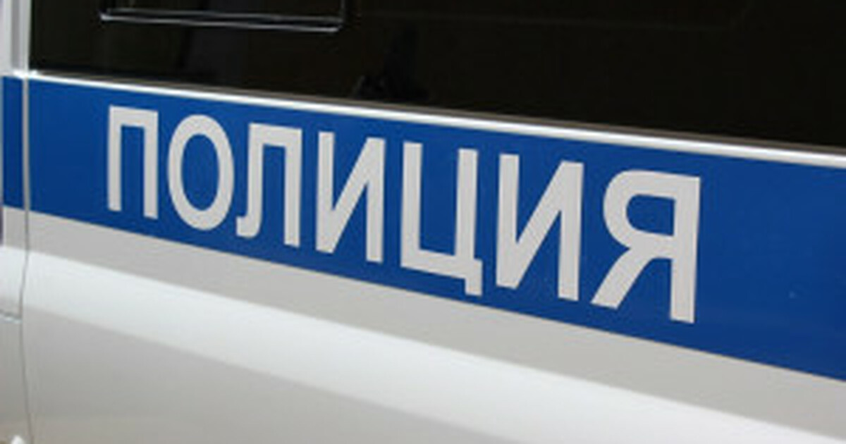 Житель Самары осужден за оскорбление и насилие в отношении полицейского Куйбышевский районный суд вынес обвинительный п...