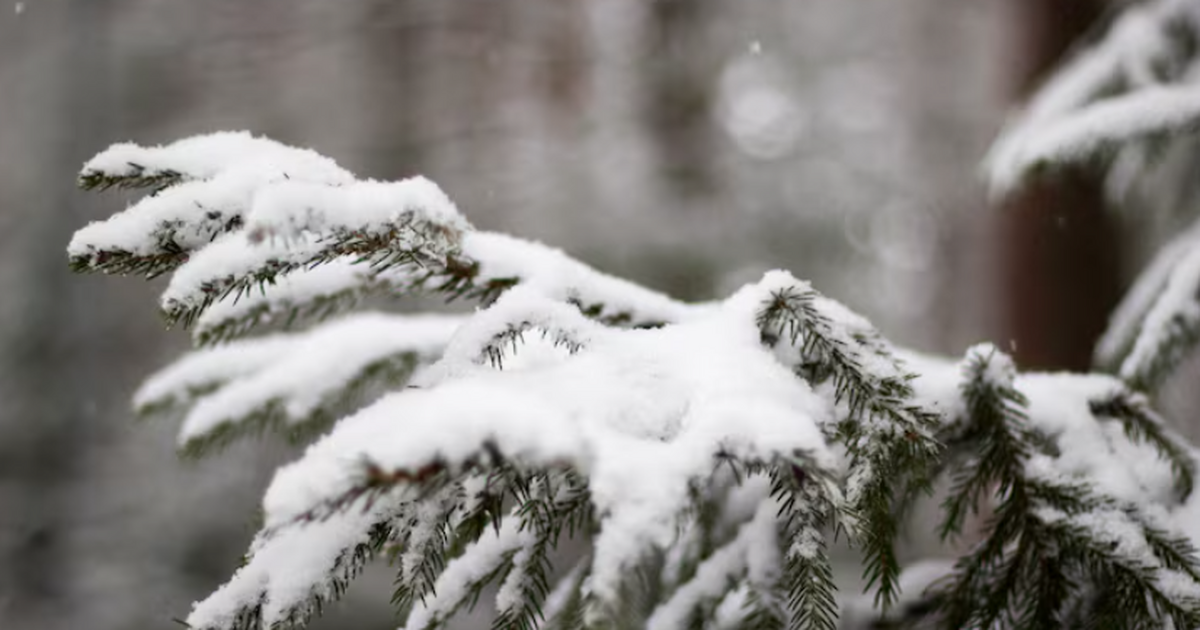 Первый снег выпал в Самаре, и это засняли на видео В Самаре впервые в текущем осеннем сезоне зафик...