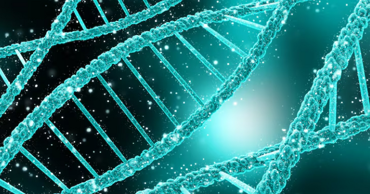 ДНК раскрыла происхождение сарматов Карпатского бассейна и их миграции Проанализировали 156 древних геномов I–V вв. н....