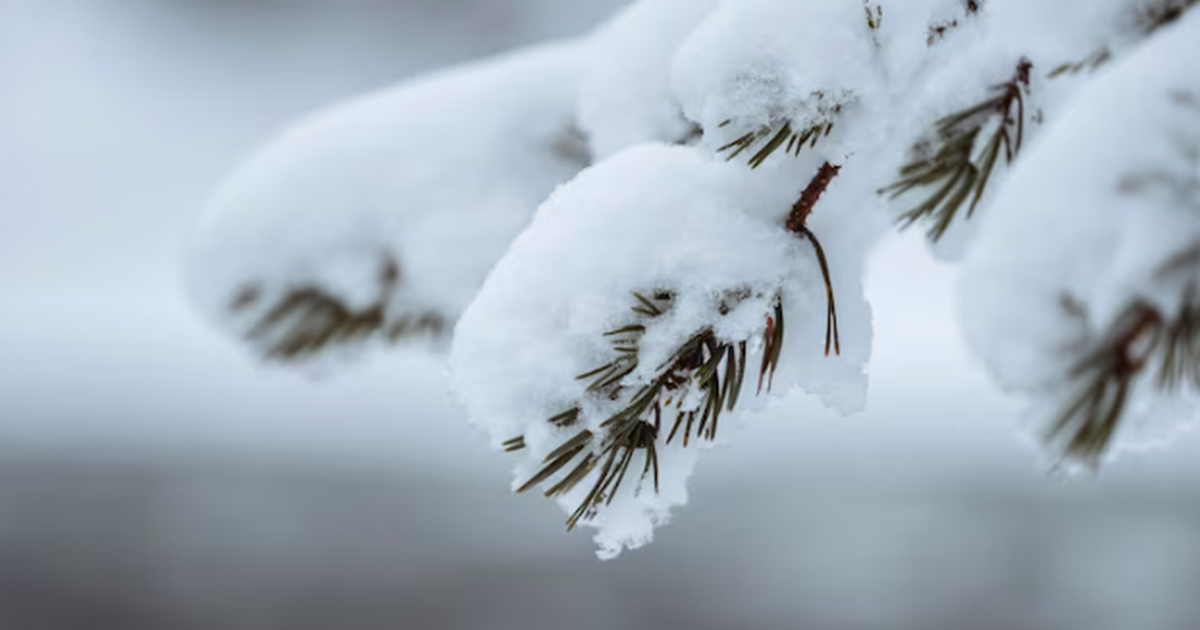 На европейскую часть России идёт волна холода. ...