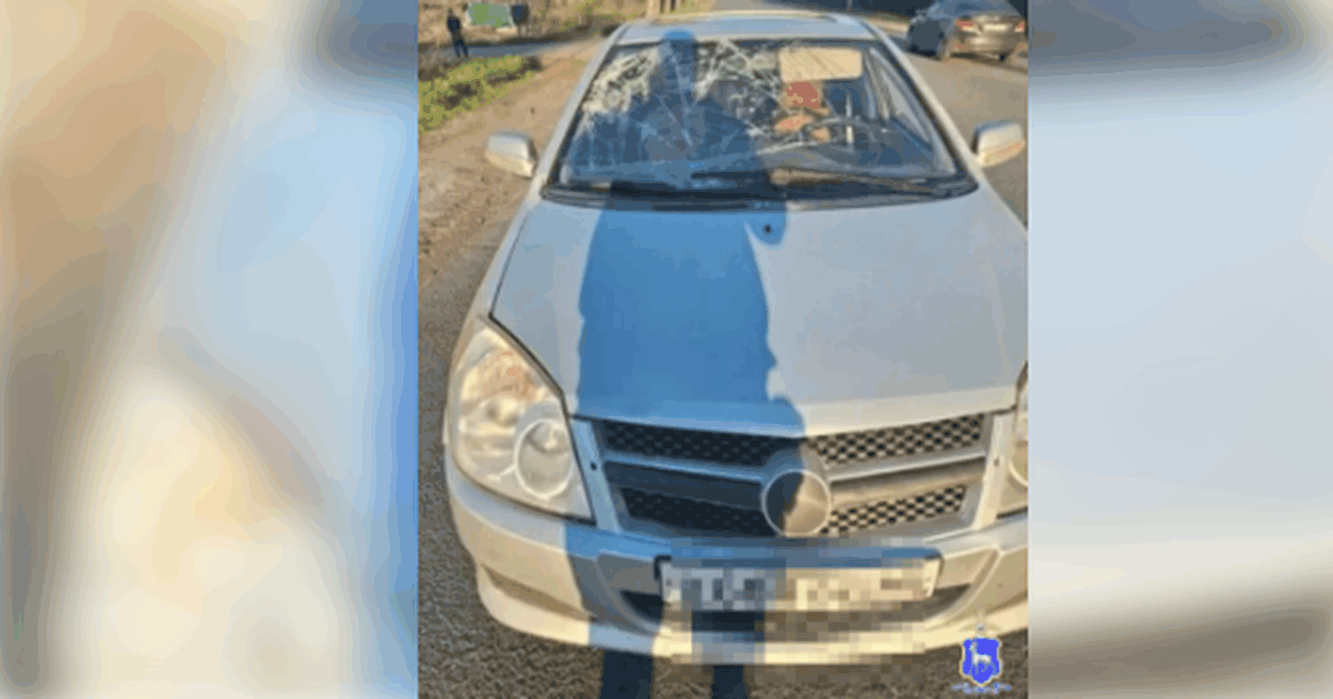Водитель автомобиля Geely не уступил дорогу пеш...