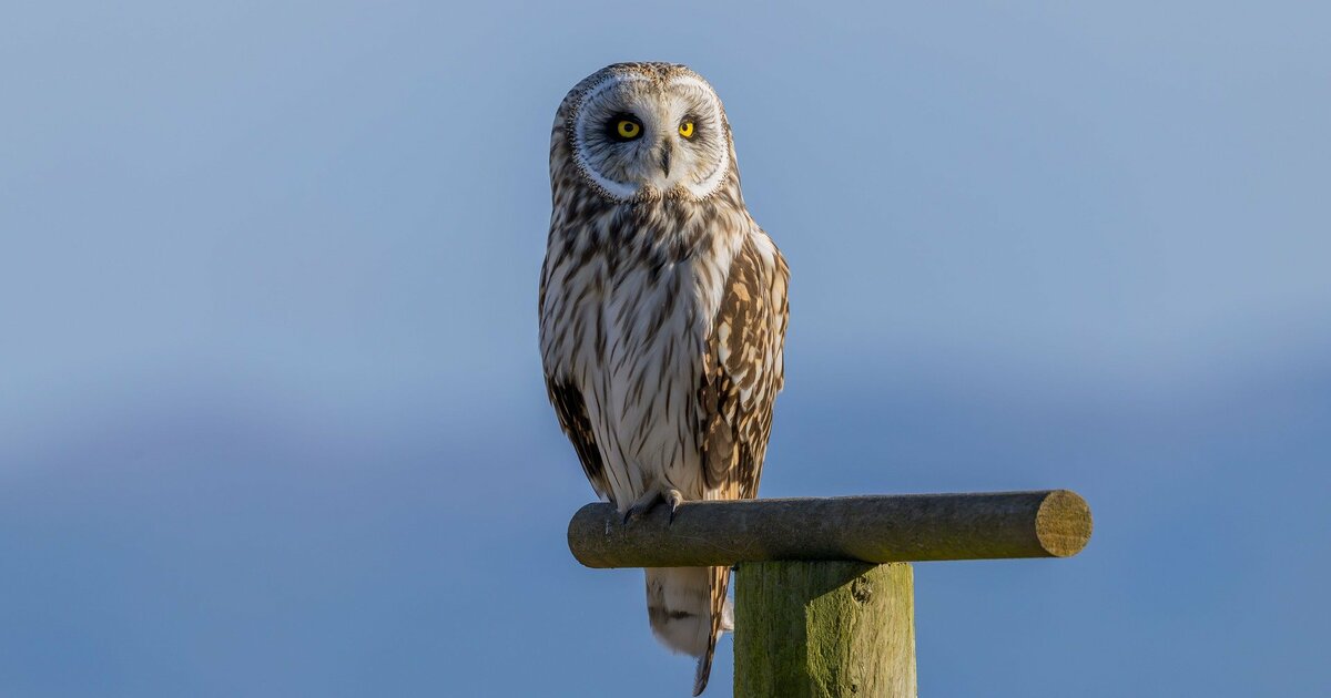 Материалы передали в полицию для дальнейшей про...