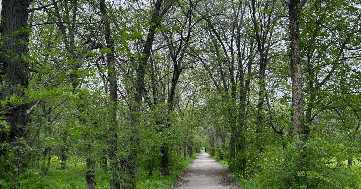 В Самарской области требуют восстановить сведен...