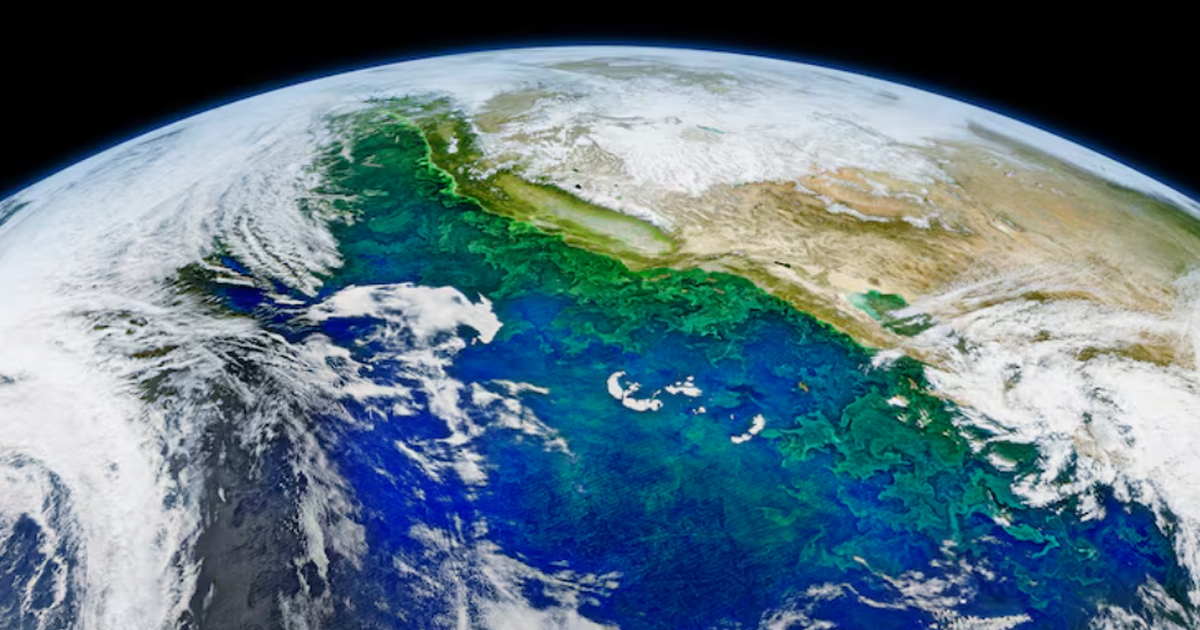 Исследователи из Китая обнаружили, что часть во...