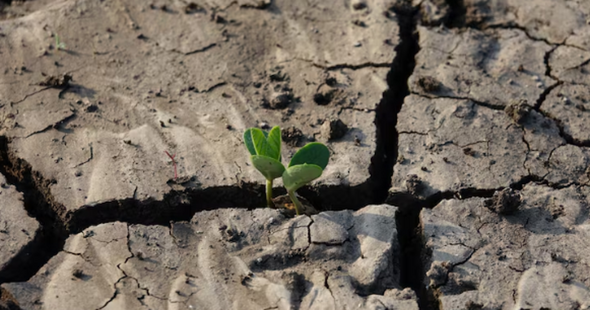 Гигантский подводный каньон Атлантики затмил Гр...