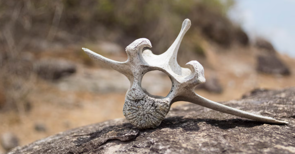 На берегу реки Усьва расположено городище Салом...