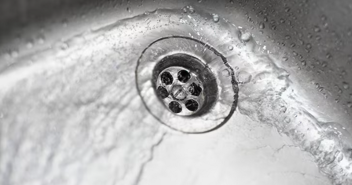 Зачем сантехник помещает в трубу хлеб: хитрость с хлебным мякишом - запоминайте, пригодится Общежитие, тараканы, вечный аврал. Заказ на уст...