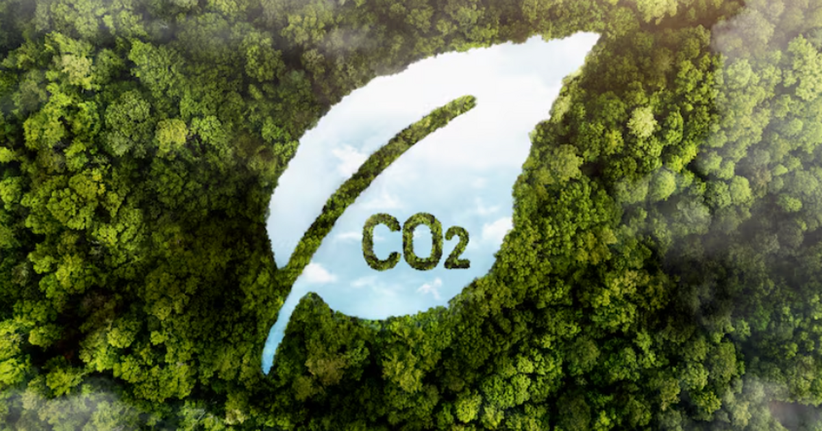 Ученые Сколтеха создали катализатор на основе д...