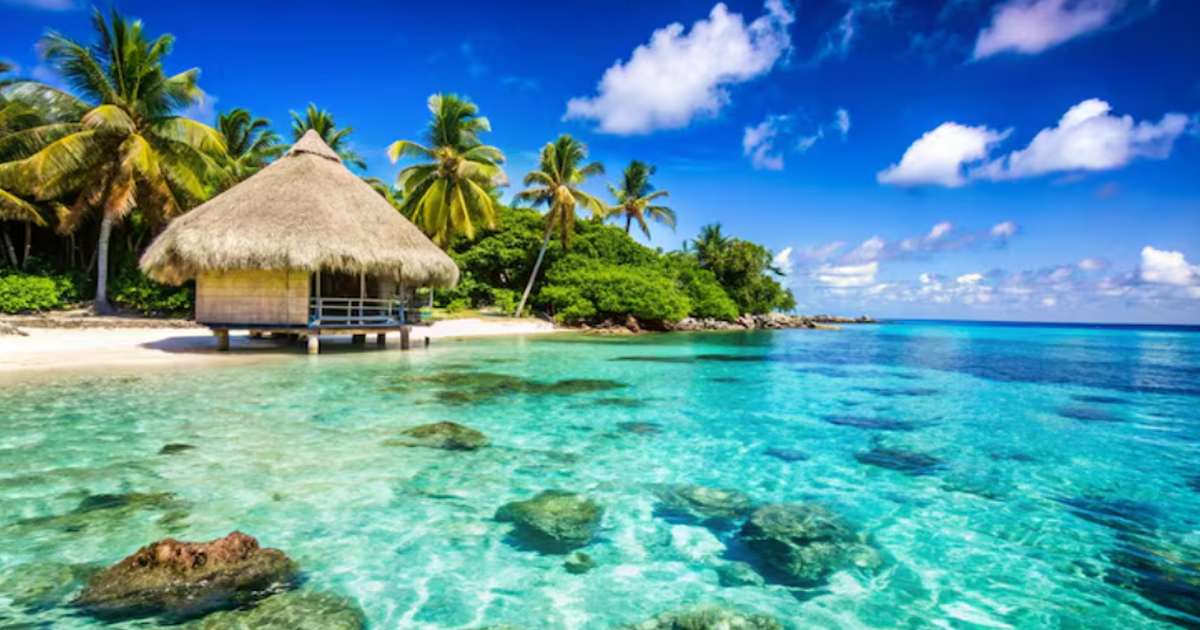 Отдых на Мальдивах стал доступнее — элитный формат прошёл Мальдивы набирают популярность у россиян: в 202...