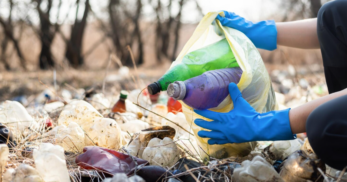 В России полимеры и биомассу предложили перерабатывать в энергоносители В России разрабатывают технологию, которая долж...