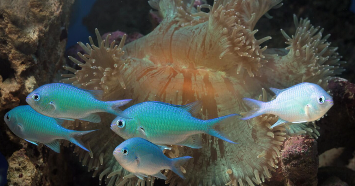 Генетическое исследование древней ДНК жителей П...