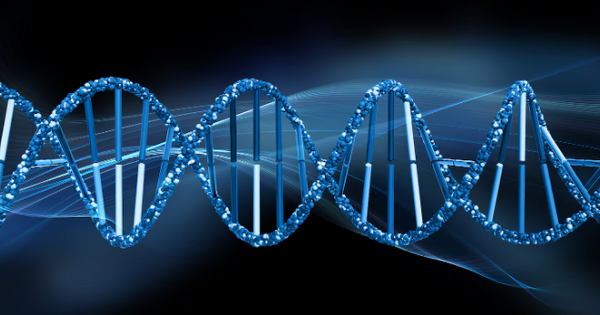 Учёные Сеченовского университета разработали те...
