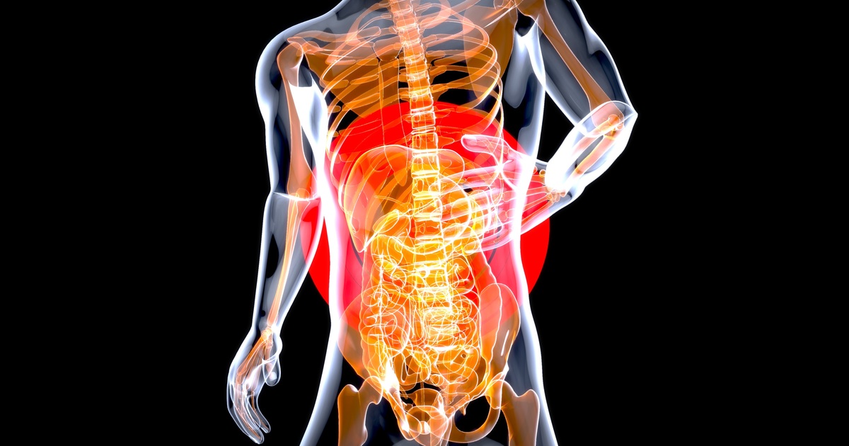 Около 70–80% иммунных клеток организма сосредот...