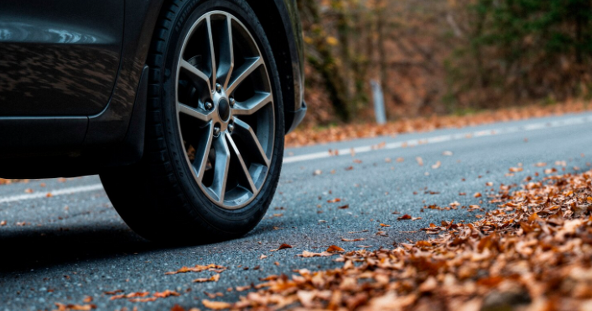 В России за отсутствие путевого листа водителям...