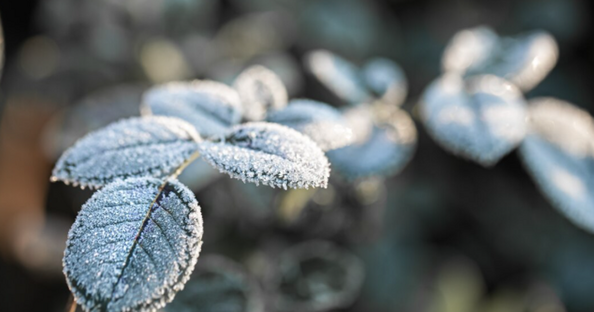 Почему зимой рискованно покупать дачу Зима — ри...