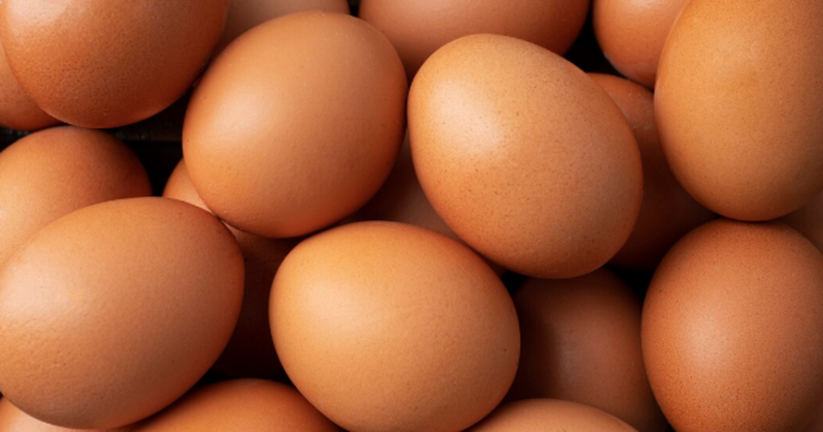 Австралийские исследователи выяснили, что курин...