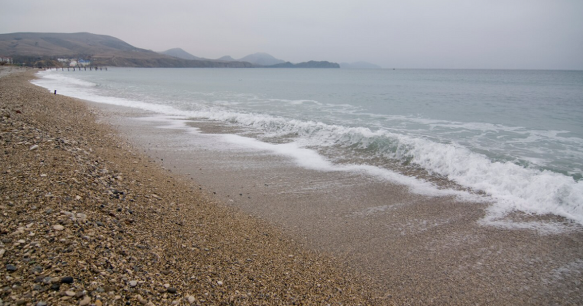 Глава Роспотребнадзора Анна Попова сообщила, чт...