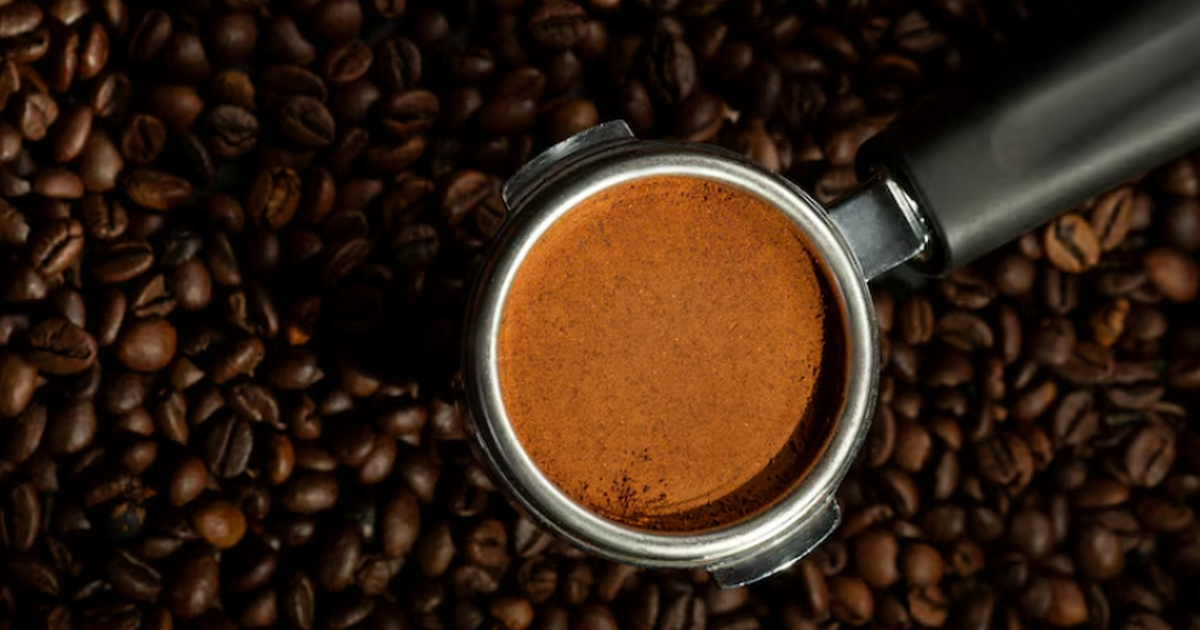 Учёные Фуданьского университета назвали 2–3 чаш...