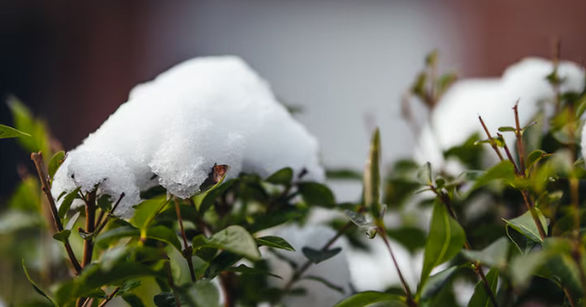 «Не мороз, а нечто похуже»: синоптики рассказали, какая аномалия ждет Россию зимой Синоптики, на которых ссылается РИА Новости, жд...