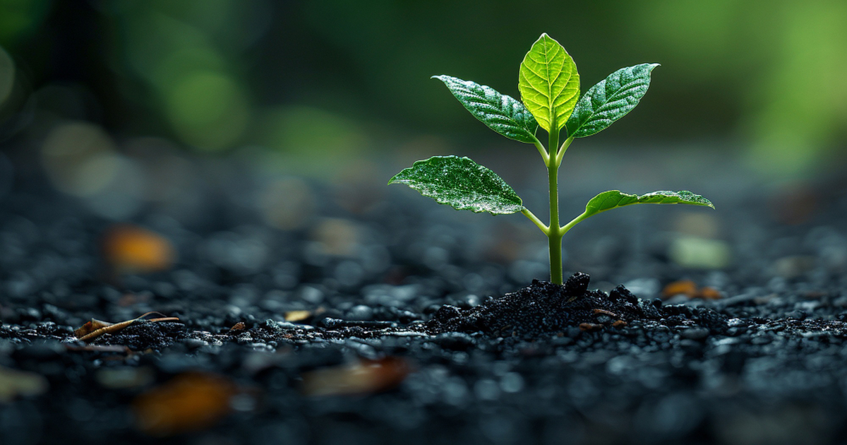 Исследователи из Техасского университета в Ости...