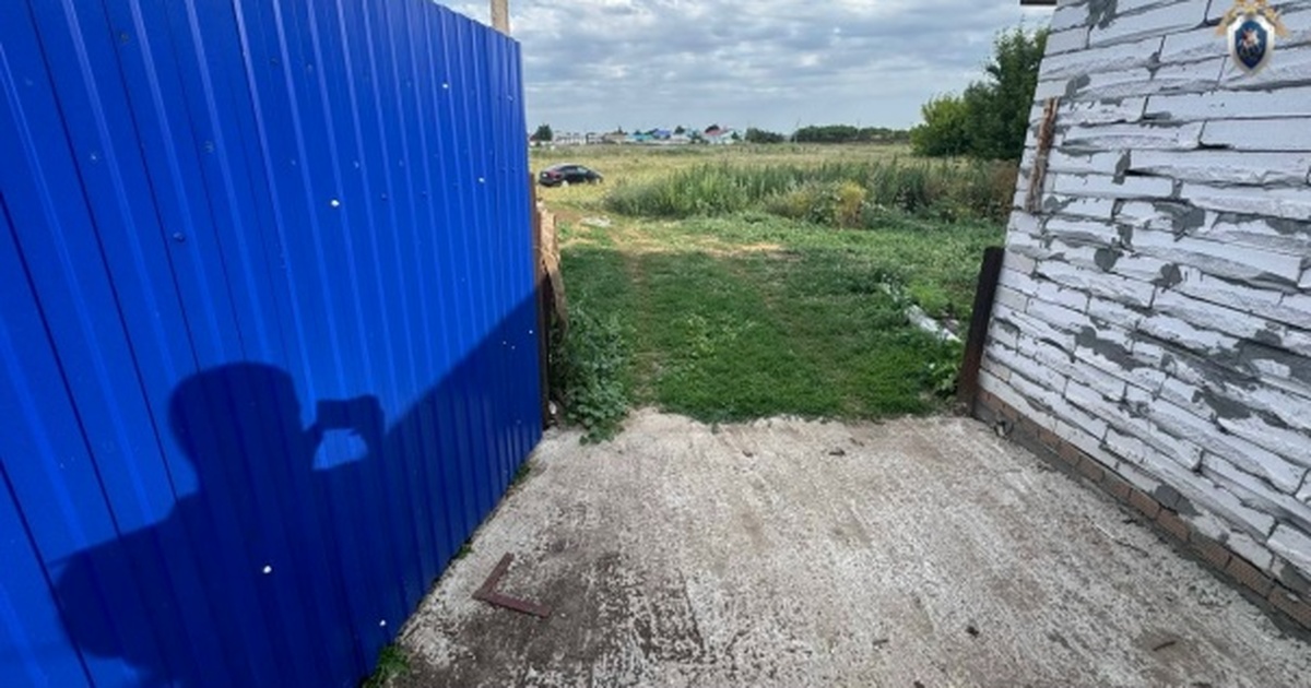 В Новокуйбышевске мужчина предстанет перед судом за убийство сожительницы После пьяной ссоры мужчина выстрелил в свою сож...