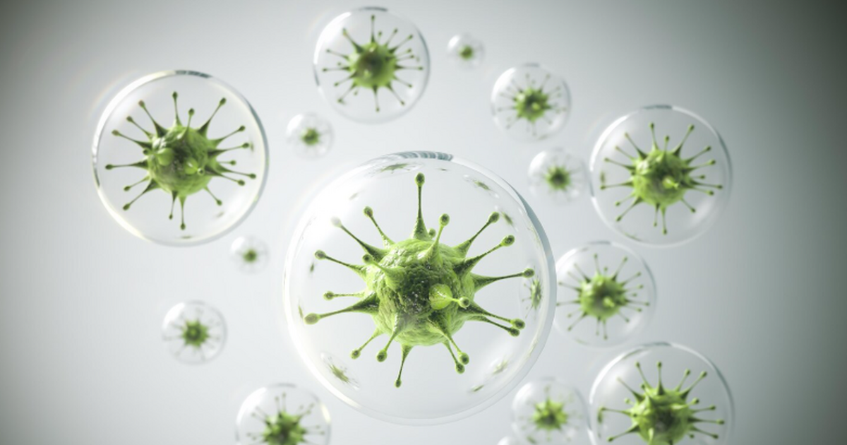 Учёные показали, что введение белков DLL1, FLT3...