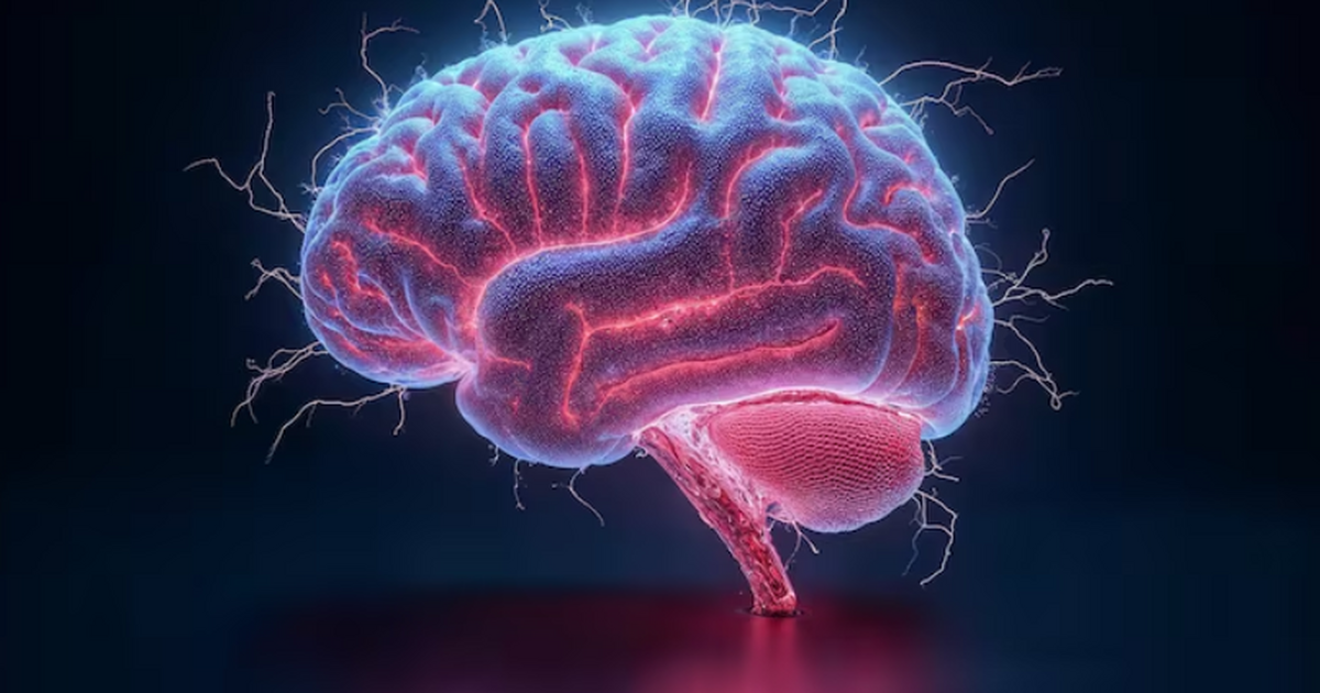 Немецкий физик из DIWISS в Frontiers in Human N...