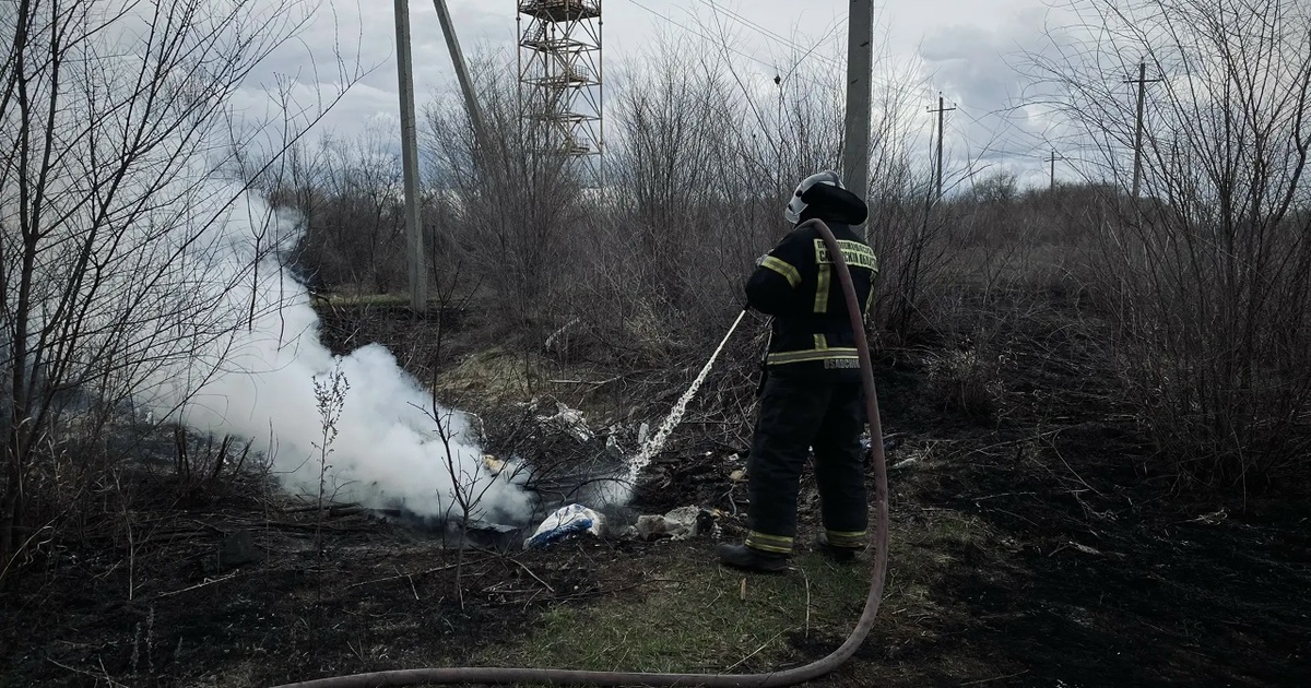 Общая площадь возгораний составила около 570 кв. м