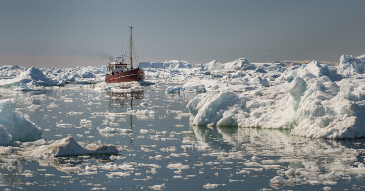 Экспедиция «Арктический плавучий университет-20...